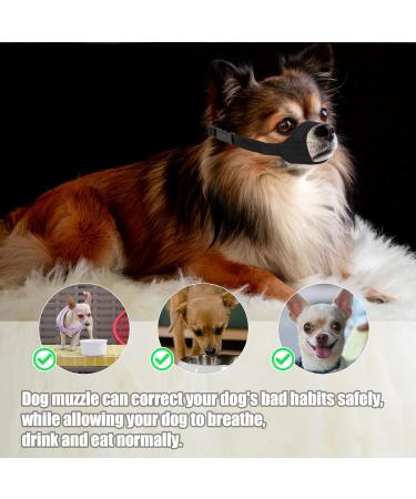 Soft Muzzle for Short Snout Dogs - Ideal for Chihuahua Shih Tzu & Small Breeds | Anti-Bite & Barking Solution | Snout Size 14-17.8cm - Buy Online on GoSupps.com