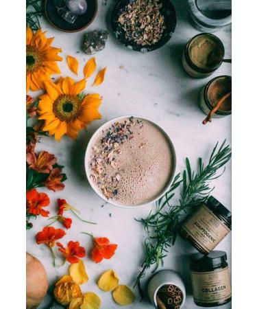 Anima Mundi Adaptogenic Mushroom Superfood Powder - Organic Immune Defense Supplement with Reishi, Lions Mane, Chaga, Maitake & Cordyceps Mushrooms - 4oz (113g) - Buy Online on GoSupps.com