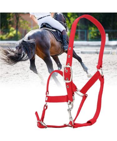Horse Fly Control Horse Heads 6mm Training Leadership Driving Headpiece - Buy Online on GoSupps.com