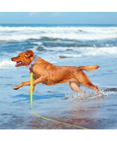 Wolfone 15m Yellow Drag Line for Dogs - Waterproof Durable Training Leash for Recall Swimming Camping & Beach Activities - Buy Online on GoSupps.com