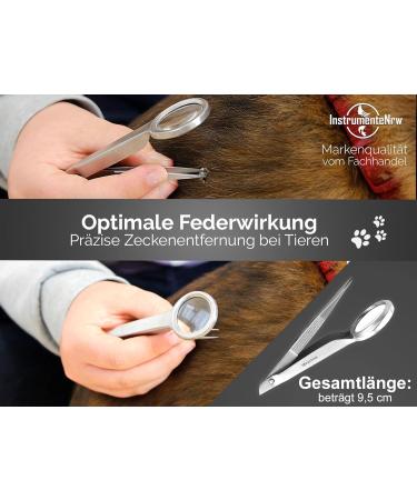 Premium Stainless Steel Tweezers with Magnifying Glass Point - Precision Eyebrow & Craft Tool for International Shipping - Buy Online on GoSupps.com