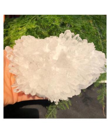 Crystal Cluster Natural White Crystal Clear Cluster Original Stone Quartz Specimen Rock Raw Gemstones Decor Full of Texture (Size : 800-900g)