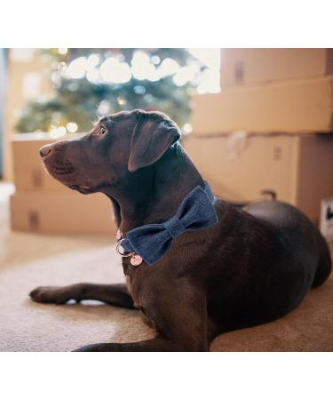 Dogwong Blue Dog Collar with Removable Fly | Comfortable Adjustable Pet Collar for Small & Medium Dogs | Perfect Gift for Girls & Young Dogs | Large Size Available (Pack of 1) - Buy Online on GoSupps.com