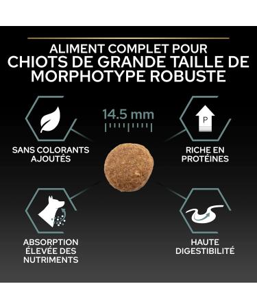 PURINA PRO PLAN | Large Robust Puppy 2 Sensitive Digestion | Rich in Lamb | Dry Food | Puppy | 12kg Bag - Buy Online on GoSupps.com