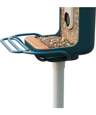 BIRD BUDDY Original Perch Extension (Blue) - Enhance Your Bird Watching Experience | International Shipping Available - Buy Online on GoSupps.com