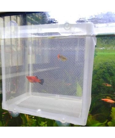 Fish Breeder Box - Aquarium Isolation Hatching Juvenile Incubator Net Hatchery - Buy Online on GoSupps.com