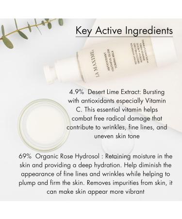 La Maxime Antioxidant Youthful Glow Toning Milk (2.7 Fl Oz) - Buy Online on GoSupps.com