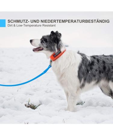 Toozey Waterproof Drag Line for Dogs - 5m/10m/15m/20m Training Leash with Hand Loop & Mains Bag - Durable Blue Leash for Large & Small Dogs - Buy Online on GoSupps.com