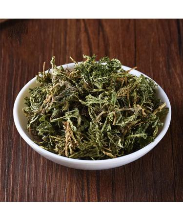 Herba Selaginellae Doederleinii Selaginella Doederleinii Hieron Greater Selaginella Selaginella Doederlein's Spikemoss Herb The Doederlein's Spikemoss Herb shishangbai (8 oz) - Buy Online on GoSupps.com