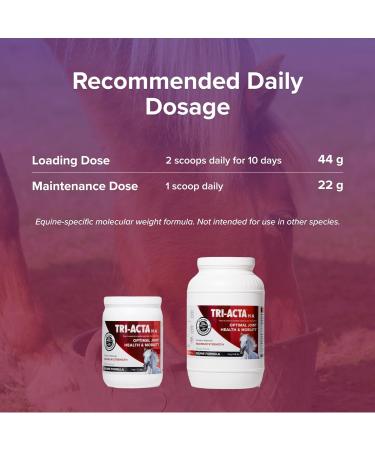 Integricare - Tri-Acta H.A. Maximum Strength Equine Formula All-Natural Horse Joint Supplement with Glucosamine Chondroitin Hyaluronic Acid and Msm for Horses 3kg - Buy Online on GoSupps.com