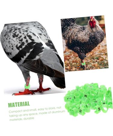 Beavorty 200 pcs Racing Digital Indoor Bands Identification Clip- Plastic Band Chick Pigeon Bird Leg 1X1X0.8CMx2pcs Greenx2pcs - Buy Online on GoSupps.com