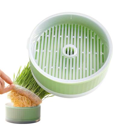 Anulely Cat Grass Plant Container - Earth-Free Sprouter Tray for Indoor Cats & Pets | Stylish Green Home Decor - Buy Online on GoSupps.com