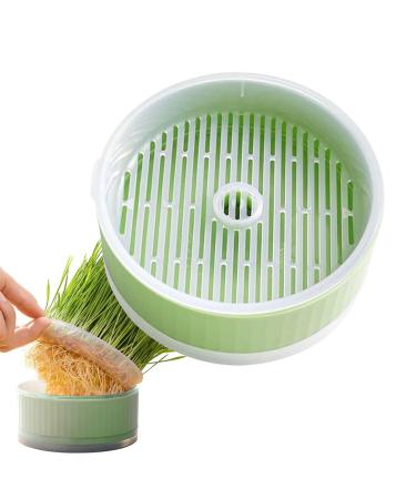 Lambo cat grass box hydroculture sprout tablet |Cat grass planting box cultivated bogus tablet cat plant grass box floor-free catnint-plants green