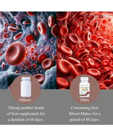 KAPPA NUTRITION Iron 26mg Vitamin C & Orange 150mg Folate 667mcg DFE Vitamin B12 Beetroot Brewers Yeast Broccoli & MCT Oil 9 in 1 Advanced Complex (60 Capsules) 60 Count (Pack of 1) - Buy Online on GoSupps.com