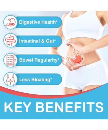 2 Packs - Fiber Gummies for Adults Sugar Free Probiotics & Prebiotic Fiber Gummies with Inulin Fos & Chicory Root - for Regularity Digestion & Gut Health - Vegan Gluten Free 120 Counts - Buy Online on GoSupps.com