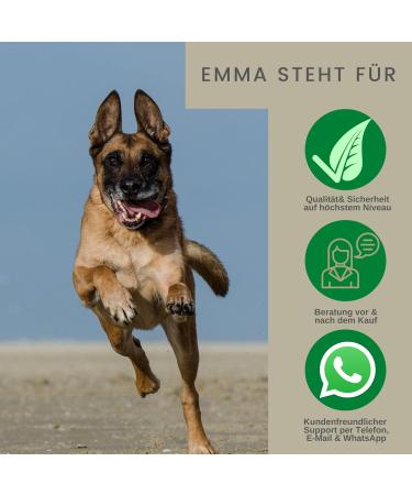 Linseed Oil Barf Oil for Dogs Cats Barf Oil Omega 3 & 6 I Food Oil + Vitamin EI Food Supplement Rich in Omega 3 Omega 6 Fatty Acids without Additives I Coat Skin Energy 0.25l - Buy Online on GoSupps.com