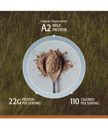 ELEVATE ORGANIC Men s Whey Protein Powder Chocolate Grass Fed A2 Regenerative Whey with KSM-66 Ashwagandha & Acti Veda (22g Protein) - Buy Online on GoSupps.com
