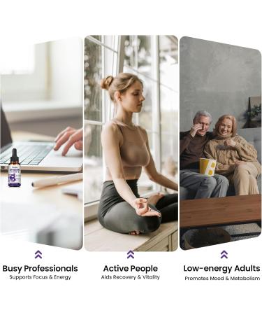 Liposomal Vitamin B Complex Liquid Sublingual B Complex Vitamins Supplement for Women Men Improved Absorption Methylated B12 B1 B2 B3 B5 B6 Folate Biotin for Energy And Immune Support-2.0 oz 2 Fl Oz (Pack of 1) - Buy Online on GoSupps.com