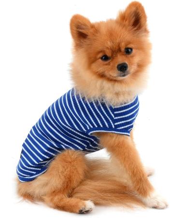 Shop Paidful 100% Cotton Summer Striped T-Shirt for Small Dogs - Blue Welpe Tee for Chihuahua & Yorkshire | Sizes M (Back Length 25cm Bust 37cm) - Buy Online on GoSupps.com