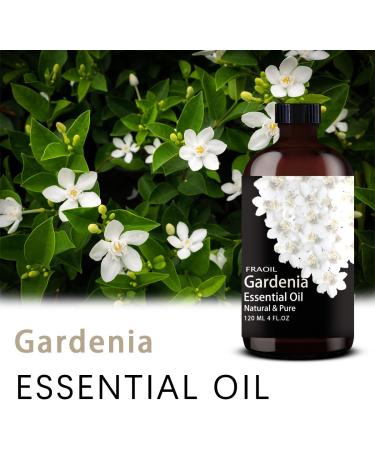Apple Essential Oil and Gardenia Essential Oil 4 Fl Oz 120ML for Diffuser Humidifier Yoga Cleaning DIY Candle Soap Making Perfume Gift for Women Essential Oils - Buy Online on GoSupps.com