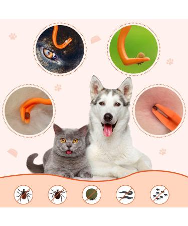 Greoer 3 Pieces of Tick Remover Tools for Dogs Painlessly Tick Removal Tool Multifunctional Tick Remover Kit for Dog Cats Rabbits Ideal Tick Hooks for Pet Shop Home Use Orange - Buy Online on GoSupps.com