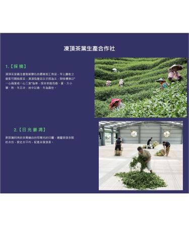 Premium Dong Ding Oolong Tea Medium Roast | 300g x 2 Packs (600g Total) - Buy Online on GoSupps.com