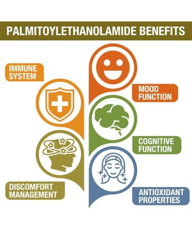 1500 MG Palmitoylethanolamide with Luteolin 98% & Turmeric, High Absorption, Micronized Pea Supplement for Discomfort Management- USA Made - 120 Tablets 60 Count (Pack of 2) - Buy Online on GoSupps.com