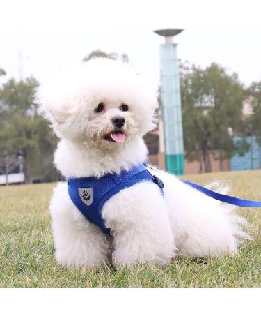 Buy LOOK ANDES Small Dog Harness & Leash Reflective Soft Padded Air-Mesh for XS Puppies & Cats (24-27cm Chest) Blue - Buy Online on GoSupps.com