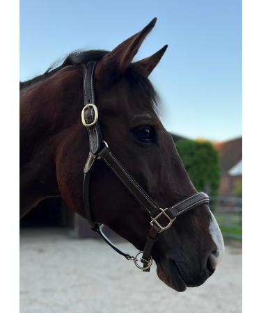 Buy MiraQuine Leather Halter for VB/Cob - Premium Light Brown Horse Gear - Buy Online on GoSupps.com