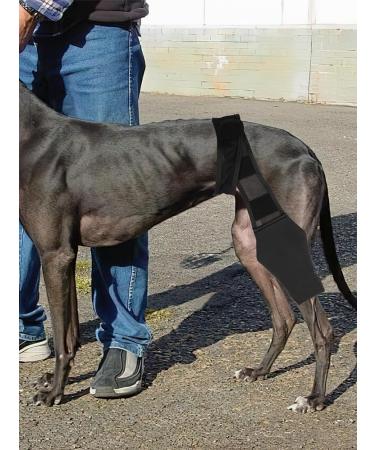 Dog Knee Brace Dog ACL Knee Brace Hind Leg Dog Leg Braces for Back Leg Cruciate Care Knee Brace for Supporting Dogs with Torn ACL Muscle Hind Leg Joint Discomfort (M) - Buy Online on GoSupps.com