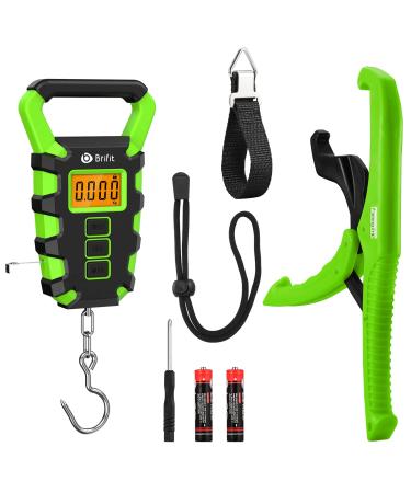 AMIR Digital Fishing Scale with Gripper and Ruler, Electric Fish Meat Scale 110lb Weight Max, Electronic Portable Hanging Luggage Scale with Hook, Lb/oz/Kg Mode, Batteries Included Green