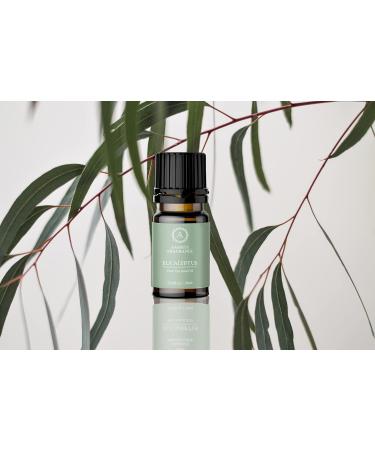 AAKRITI Premium Eucalyptus Essential Oil - 100% Natural & Pure GMP Certified 10ml for Spa & Aromatherapy - Buy Online on GoSupps.com