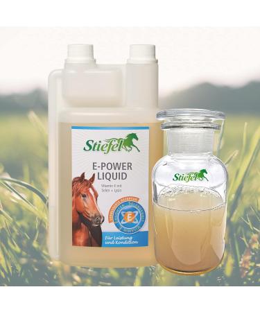 Stiefel E-Power Liquid 1l - Buy Online on GoSupps.com