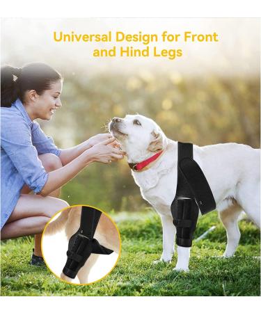 Dog Pet Knee Brace for Support with Cruciate Ligament Injury Joint Pain and Muscle Sore Better Recovery with Dog ACL Knee Brace Adjustable Rear Leg Braces for Dogs Knee Brace (Large) - Buy Online on GoSupps.com