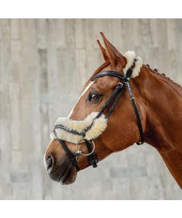 SUNRIDE Swedish Bridle Oxford with Reins - Soft Genuine Leather & Fur Adjustable Anatomical Design (Cob Black) - International Shipping Available - Buy Online on GoSupps.com