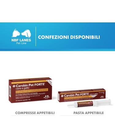 NBF Lanes Carobin Pet Forte Dog Cat 30 Appetizing Tablets Reduction of Acute Intestinal Absorption Disorders Acute Diarrhea Convalescence - Buy Online on GoSupps.com