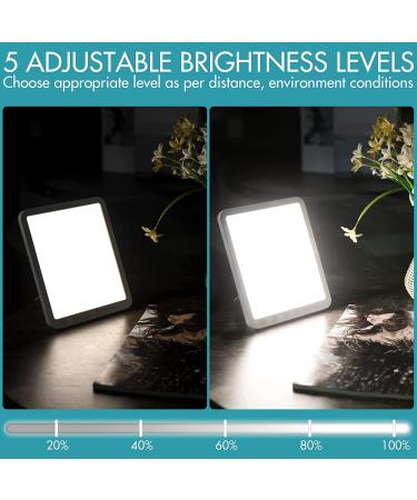 Simulated Sunlight Light Lamp - 15000 Lux, 3 Color Temp, 5 Brightness, Timer, 180 Rotatable Stand - Touch Control LED - Buy Online on GoSupps.com