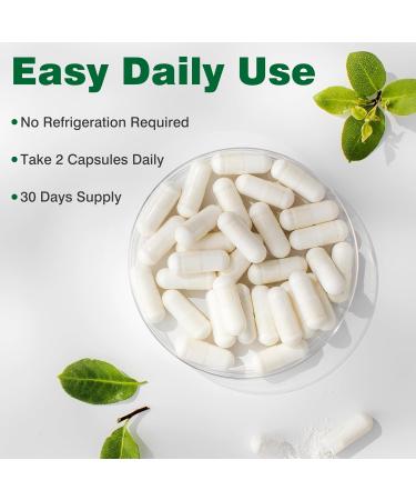 FULKELP Organic Milk Thistle Supplement 750mg Milk Thistle Extract for Liver Support Herbal Liver Supplement Non-GMO Gluten-Free - 60 Capsules - Buy Online on GoSupps.com
