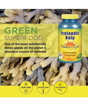 Icelandic Kelp Tablets - Natureâ€™s Life | 1000 Count for Thyroid & Energy Support - Buy Online on GoSupps.com