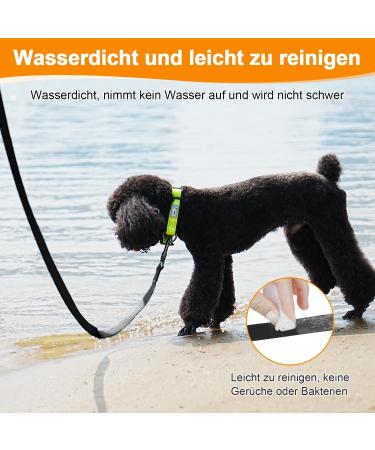 X XBen Waterproof Tow Lines for Dogs - 30m Rubberized Drag Line with Lockable Carabiner | Durable Dog Leash for Medium-Sized Dogs - Robust Training Line with Hand Loop - Buy Online on GoSupps.com