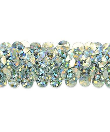 Expo International 7/8-Inch 2-Row Starlight Hologram Stretch Sequin Trim Embellishment, 20-Yard, Silver - Buy Online on GoSupps.com