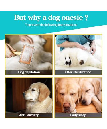 YeaPeeto One-Divider for Large & Medium Dogs | Relaxation Pajamas - Anti-Lick Wound Protection Hair Loss & Allergy Relief | 6XL Shark Alternative to Cone - Buy Online on GoSupps.com