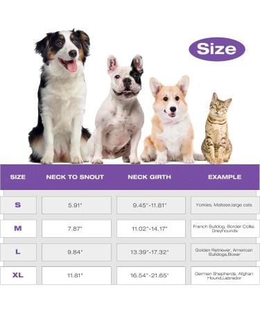 IDOMIK Dog Cone for Dogs After Surgery Comfy Soft Dog Cones for Large Medium Small Dogs Cats Adjustable Protective Dog Recovery Collars & Cones Alternatives to Prevent Pets from Licking Wounds M M(Neck Girth:11.02"-14.17") Purple - Buy Online on GoSupps.com