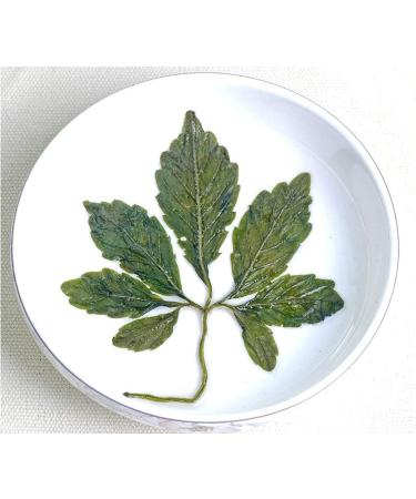 TooGet Wild Jiaogulan Loose Leaf Tea Premium Gynostemma Pentaphyllum Herbs 100% Natural - 4 OZ - Buy Online on GoSupps.com