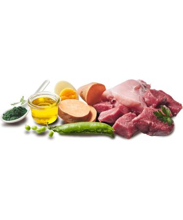 DOGGY Dog Pat Lamb & Rabbit 6 x 800 g Wet Dog Food Grain Free with Salmon Oil and Green-lipped Mussel Complete Food with Sweet Potato and Peas Made in Germany - Buy Online on GoSupps.com