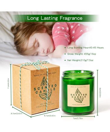 LA BELLEF E Scented Eucalyptus & Sage Candles | Soy Candles for Home & Gifts | Aromatherapy Stress Relief Decor - Buy Online on GoSupps.com