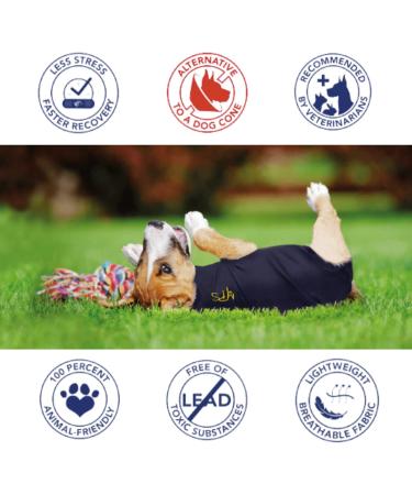 Buy MPS Medical Pet Shirt for Dogs - XL Zebra Print | International Shipping Available - Buy Online on GoSupps.com