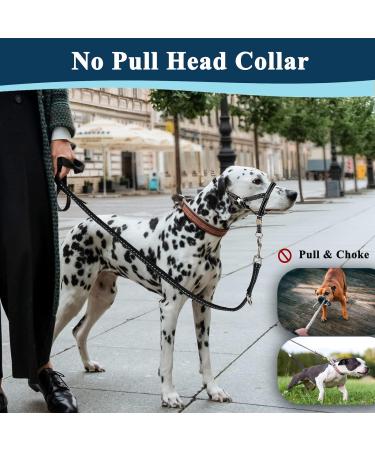 Durable Dog Head Necklace Halter - No Pulling Soft Headhaft & Safety Clip for Medium to XL Dogs - Perfect for Training & Walks - Buy Online on GoSupps.com