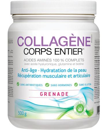 Natural Factors - Total Body Collagen Bioactive Peptides Pomegranate Flavor 500g Powder - Complete Amino Acid Supplement - Hyaluronic Acid Glutamine & Biotin - Hydrated Skin Muscle & Joint Recovery - Buy Online on GoSupps.com