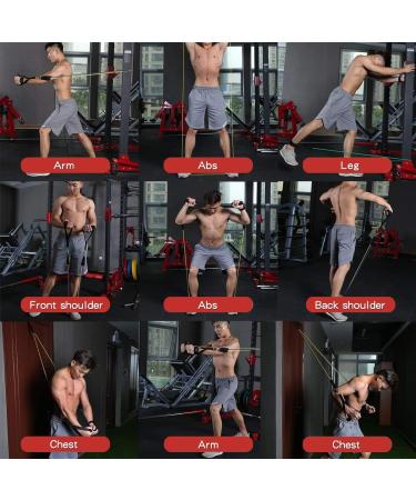 Resistance Bands Exercise Bands Resistance Bands for Working Out Work Out Bands with Handles for Men and Women Fitness Strength Training Home Gym Equipment (Multi) - Buy Online on GoSupps.com